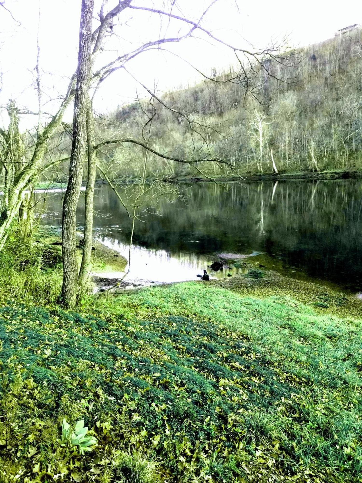 White River Resort Rv Rentals Lakeview Kültér fotó
